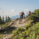 Alpenparks & Rehrenberg 4*