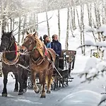 公寓式酒店 Alpenparks & Rehrenberg 菲霍芬