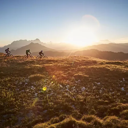 Апарт-отель Alpenparks & Rehrenberg