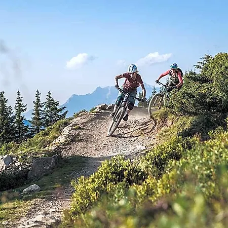 Alpenparks & Rehrenberg מלון דירות ויהופן