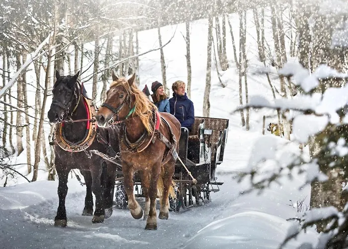 Ξενοδοχείο με διαμερίσματα Alpenparks & Rehrenberg Viehhofen